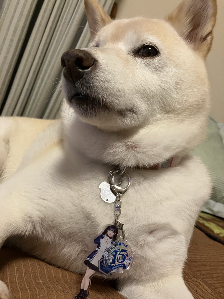 7848応援隊 (@mrutsukun) / Posts / X