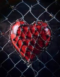 "La cárcel más silenciosa es estar con alguien que te da estabilidad, pero no vida. Tenerlo todo, casa, rutina, apariencias y al mismo tiempo sentir el alma vacía.
Compartir una cama, pero no un sueño, compartir los días, pero no el deseo. Ahí donde ya no hay conversación, donde