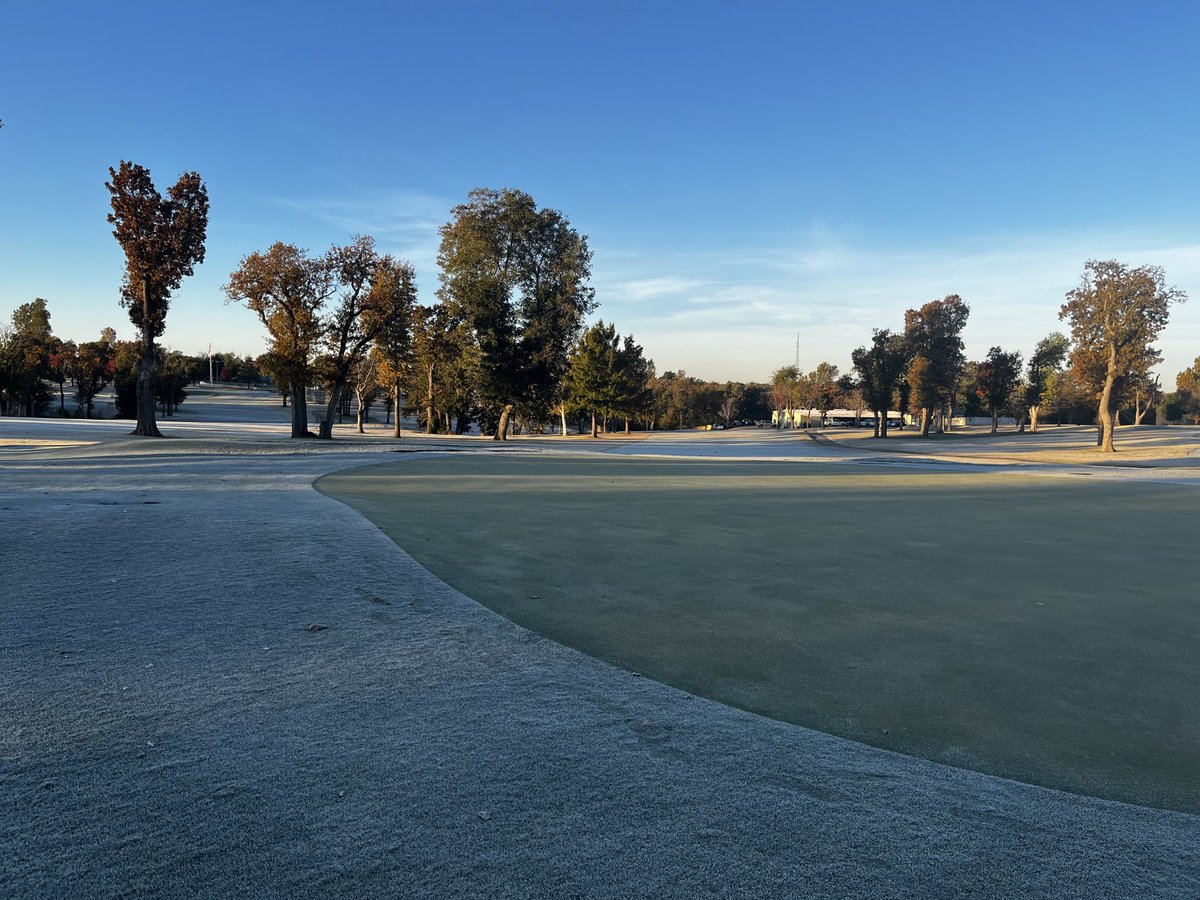 Daniel Mills tweet media