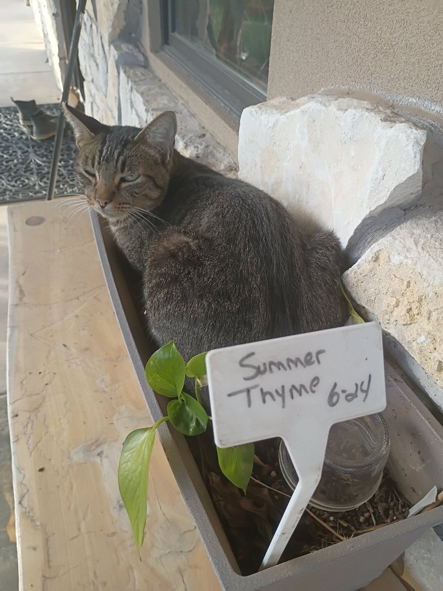 It's finally sprouting!!