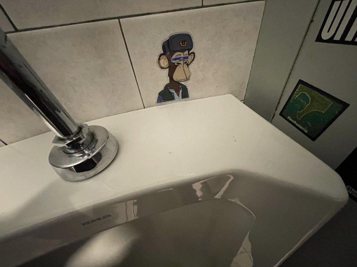 CryptoSignCo's tweet image. We are so back!!