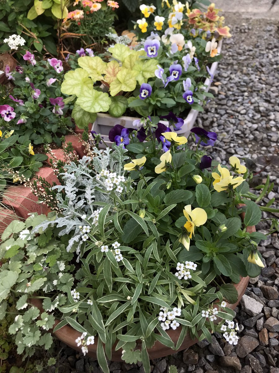 coco (@coco_n) / Posts / X