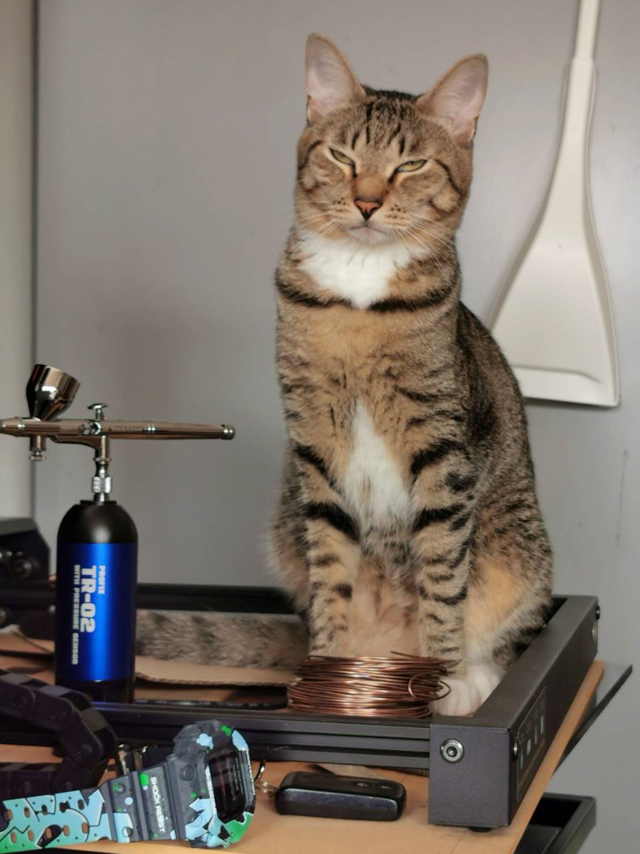 RAYWOOD_Hobby's tweet image. シャドウバン時は、RAYWOODのメンションがついている投稿は検索に表示されなくなるのでタグ付けしてくれたフォロワーさんの投稿も然り。
つまり #模活 ご新規さんがエアブラシ用品の口コミを調べた時に #PROFIX 製品は出てこなくなります。結構ヒドくない？そりゃこんな表情にもなりますって。。。