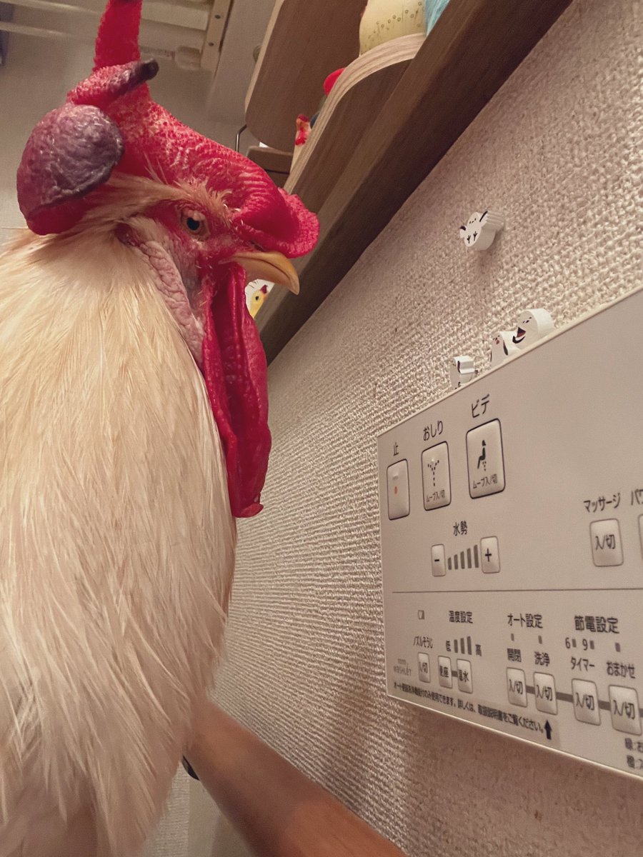 おはよう〜

今日は頭いてぇ😭