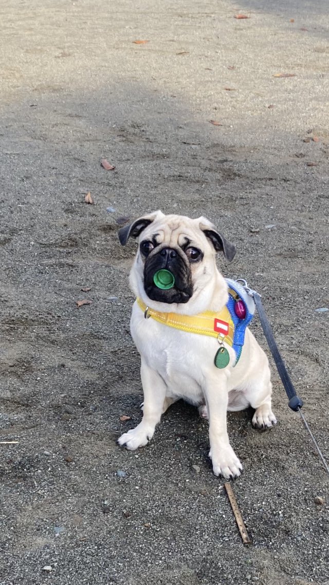 ㈲ポテンシャル on X