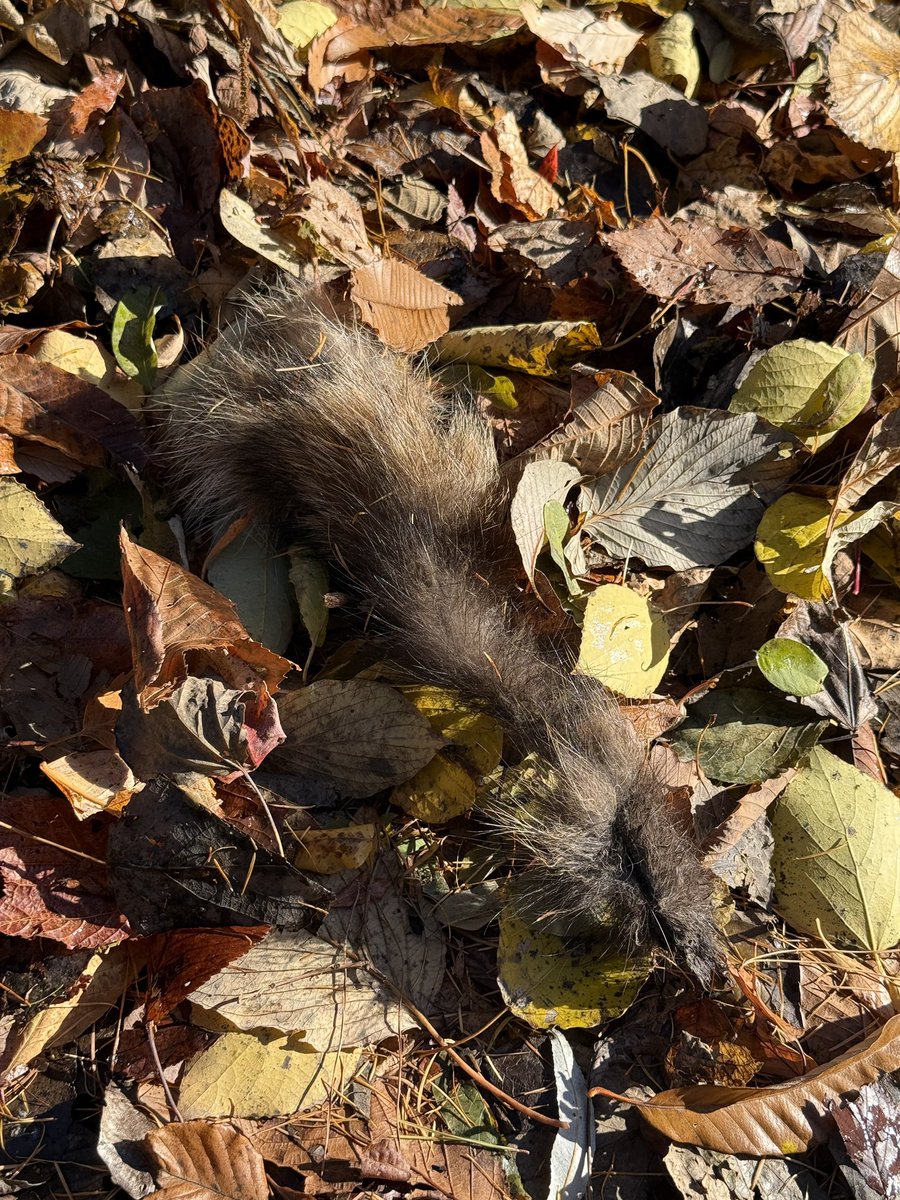 ゆっち.oO☆** (@loverincoy) / Posts / X