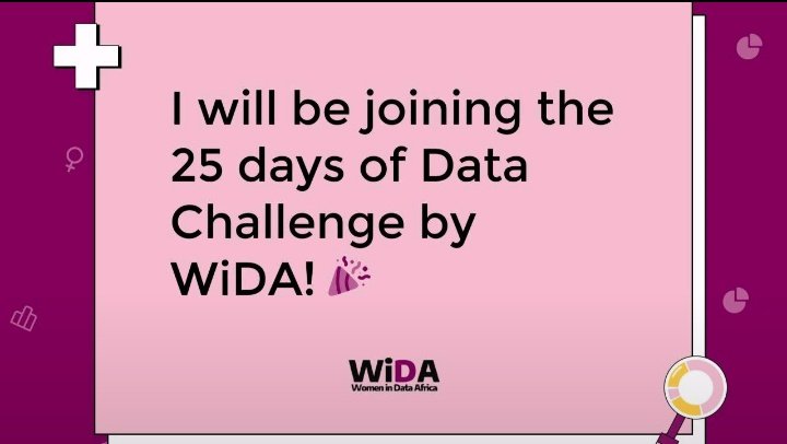 Shima 🏝️ tweet media