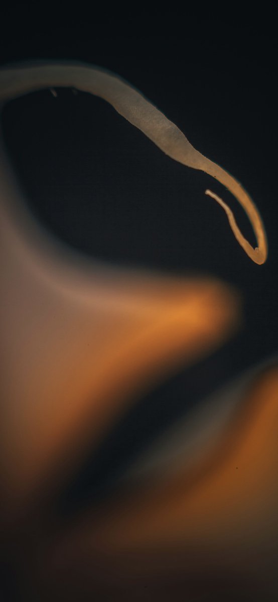 Simple iOS Homescreen ✨

Interactive widget you can get here

Bundle (146 Widget):
ko-fi.com/s/c79aa01111
blvcksun.gumroad.com/l/fvlmi

Package (31 Widget):
ko-fi.com/s/735fb89cf9

Donate me on PayPal PayPal.Me/blvcksun666

#wallpaper