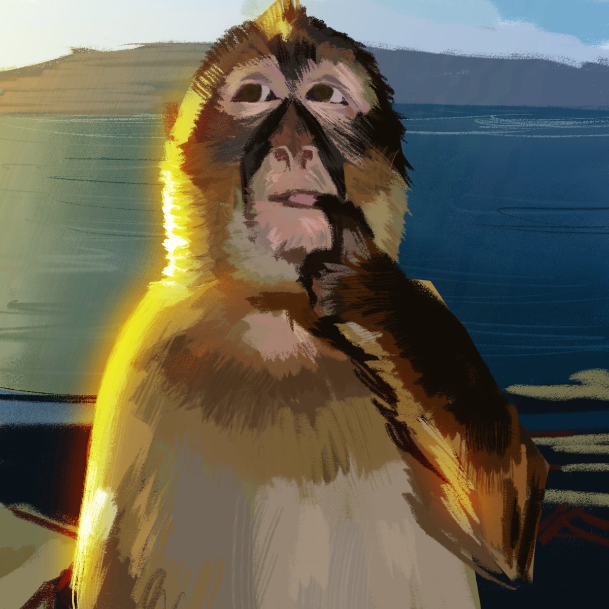 Peter Zerangue tweet media