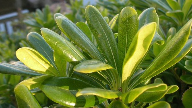 honky_tonk's tweet image. 怖れと拒絶、疑いと選別で生きる替りに、
人生がもたらすものを、丸まんま味わわれてください。

宇宙に一任する勇気とオープンな姿勢が、最終あなたに幸せをもたらします。

プロセスを信頼する事は理にかなっていますよ。
それを決めたのは、魂レベルのあなただから。
#entrust #委ねる #Soul #魂