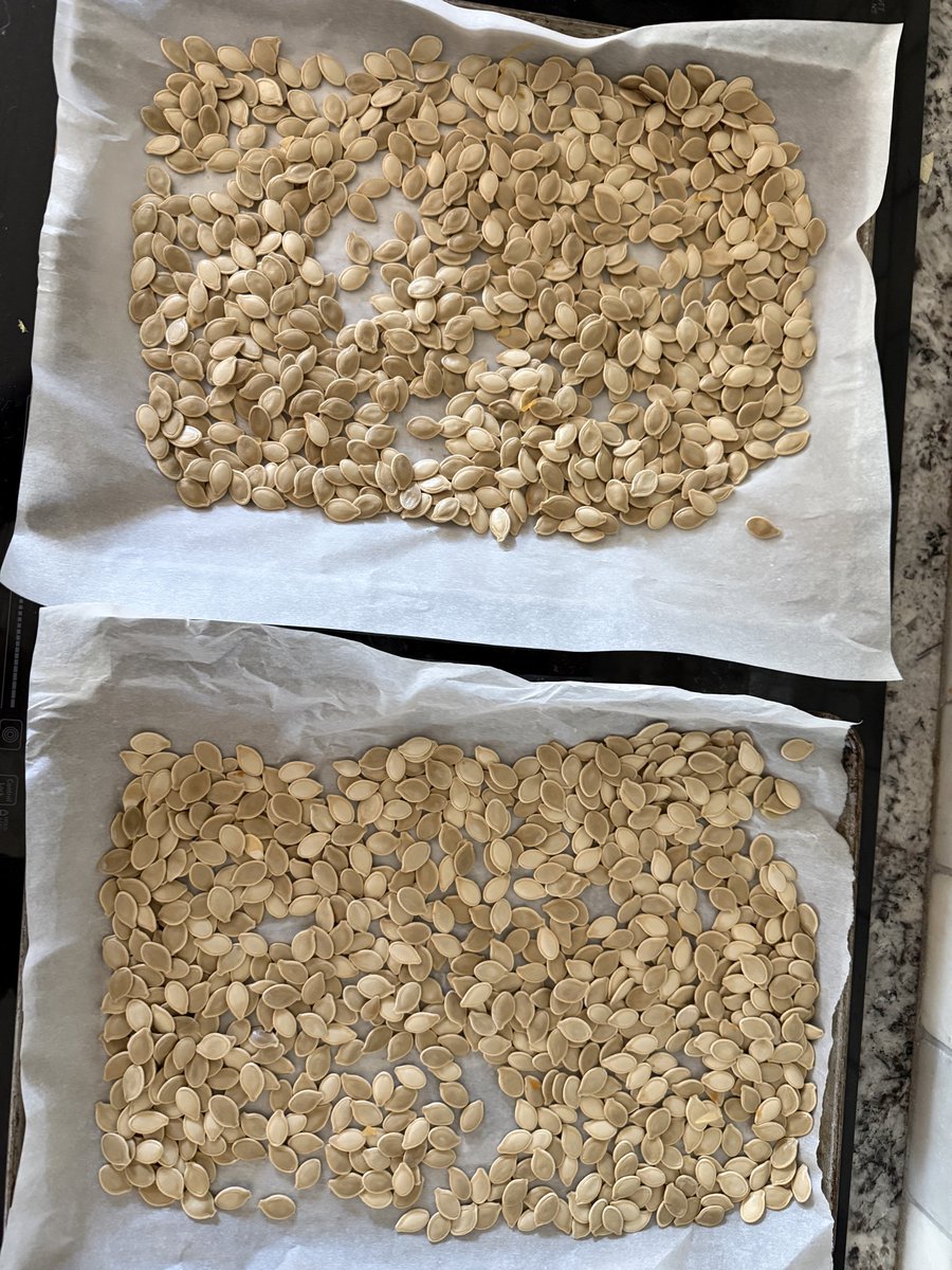 KristaKimball08's tweet image. Forgot to share our fun with counting by 10’s, estimating, using adjectives with hands on connections, how heat changes materials &amp;amp; so much more! The kids loved trying baked pumpkin seeds and seeing how heat change the seeds. #makelearningfun #1stgrade @VanRaubES @BoerneISD