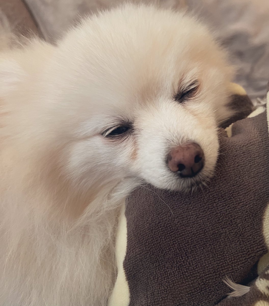 もちこ🇫🇷 (@momochimomoko) / Posts / X