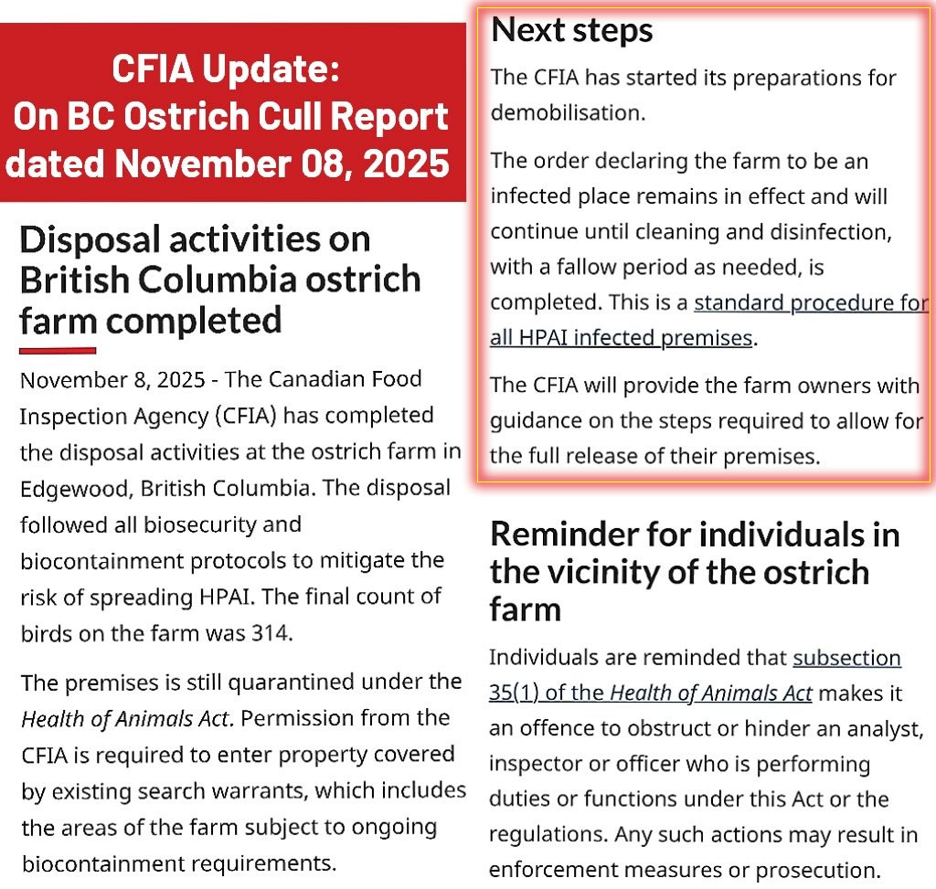 bruce_mcgonigal's tweet image. The CFIA update claims the Universal Ostrich Farm is still an infected place.

So if it&apos;s infected, why did they slaughter all those birds in the open with guns, leaving the carcasses where rats, owls, crows, foxes, racoons, &amp;amp; carrion birds could interact &amp;amp; eat the ostriches?…