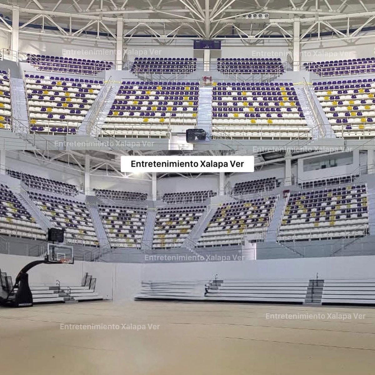 Afición HX tweet media