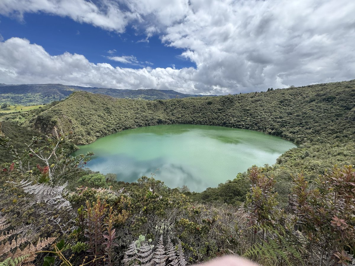 Ed Baker tweet media