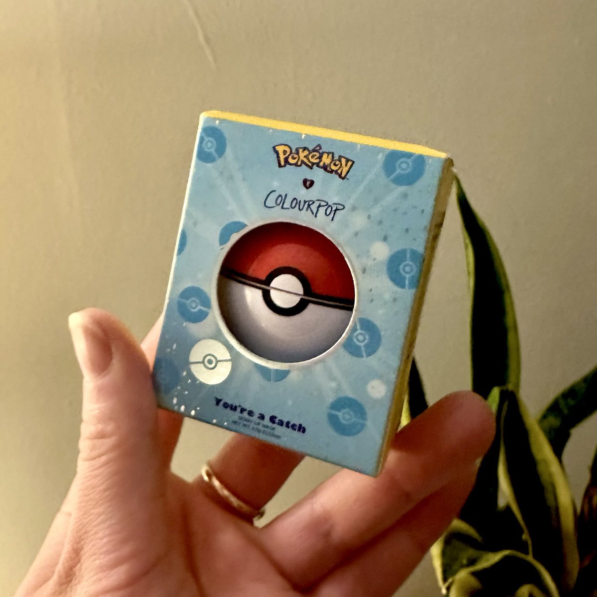 poké candy ✨🍬 tweet media