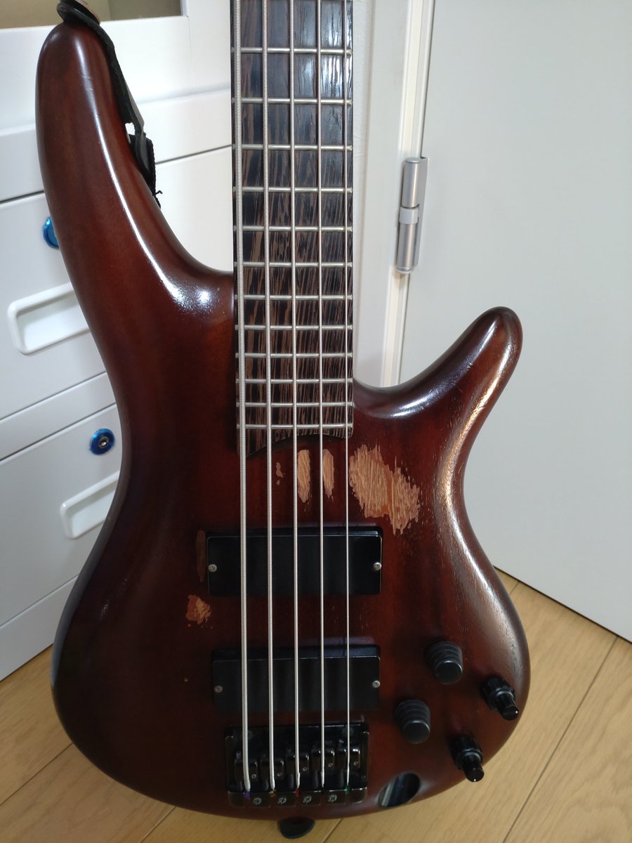 11月11日はベースの日🎸
My Bass、かなり弾きこんできました😌
レコーディングでも使用してます✨

#ベースの日
#11月11日