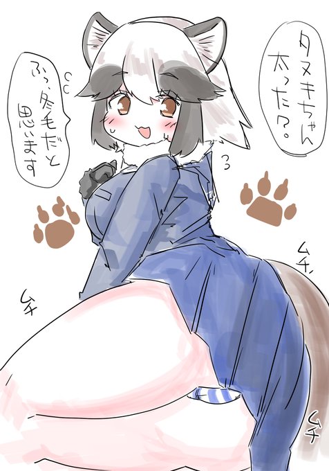 たぬきブームきてるらしいね 