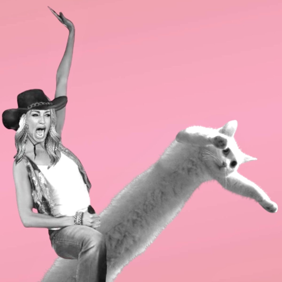 Sasa•*¨*•.¸♬︎(⋆ᴗ͈ˬᴗ͈)” SASA on X