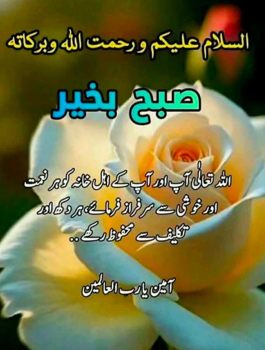 Zubair Ahmad Abbasi tweet media