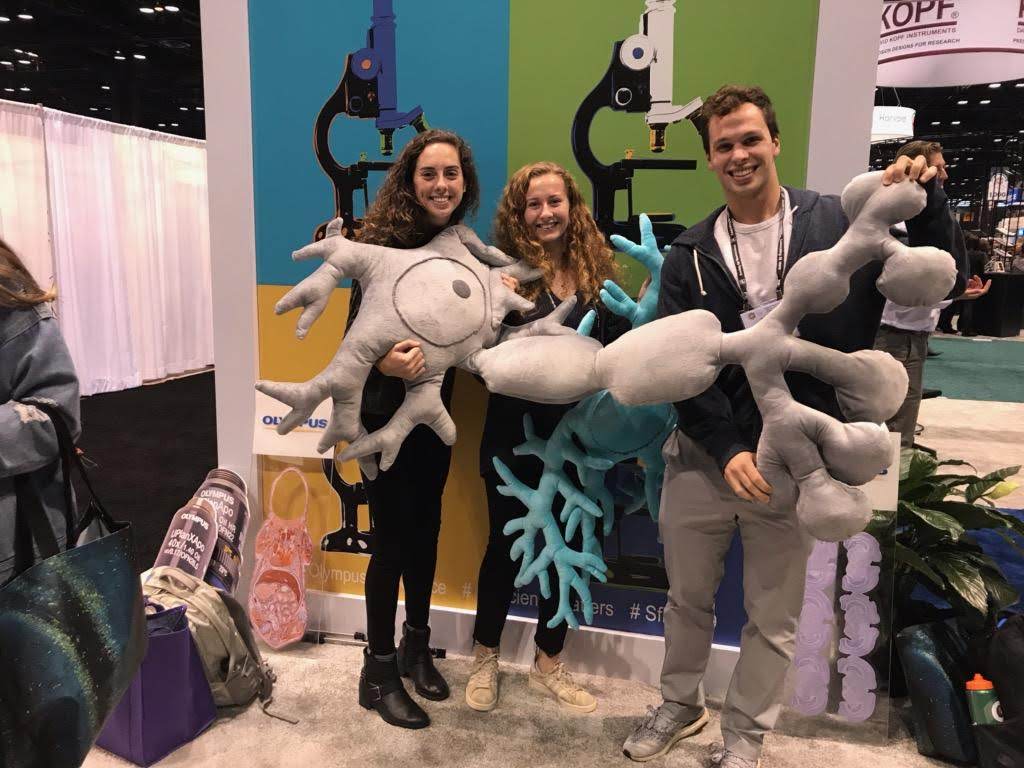 Hannah J Block (@hjblock@neuromatch.social) tweet media