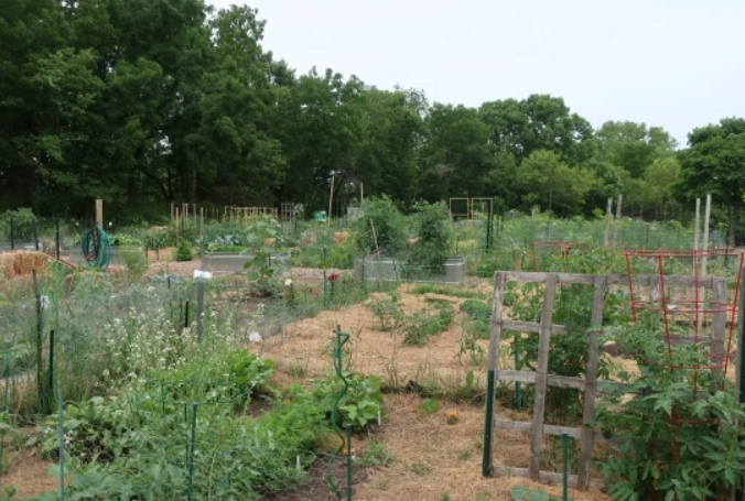 The City of Madison is seeking to gauge interest in utilizing city-owned land for market and community garden spaces, looking to understand if growers and community food systems organizations have interest in expanding gardens.

Take the survey at surveymonkey.com/r/WRX5V5N