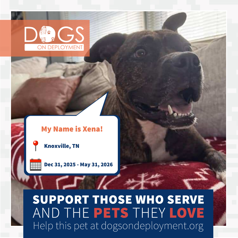 Dogs on Deployment tweet media