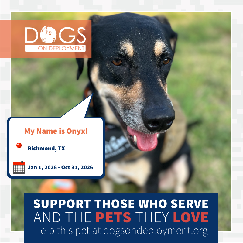 Dogs on Deployment tweet media