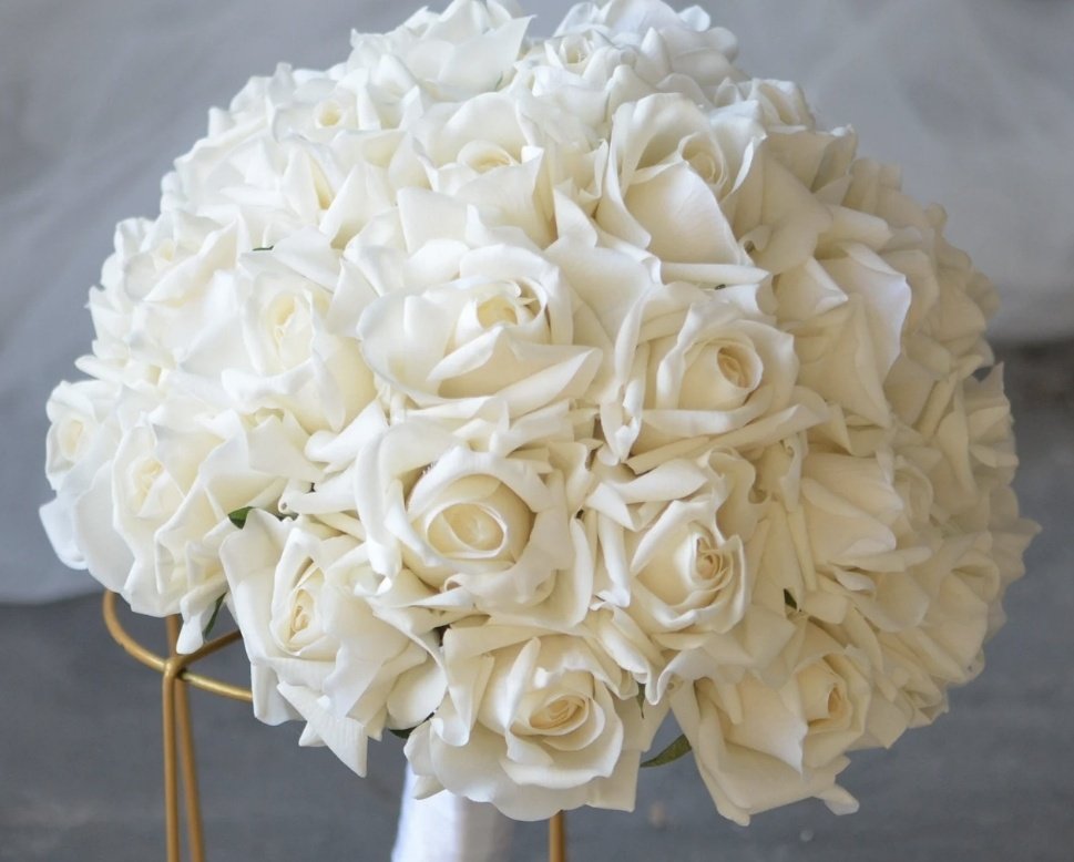 ラングレイ🦭🐡 (@langley0618) / Posts / X