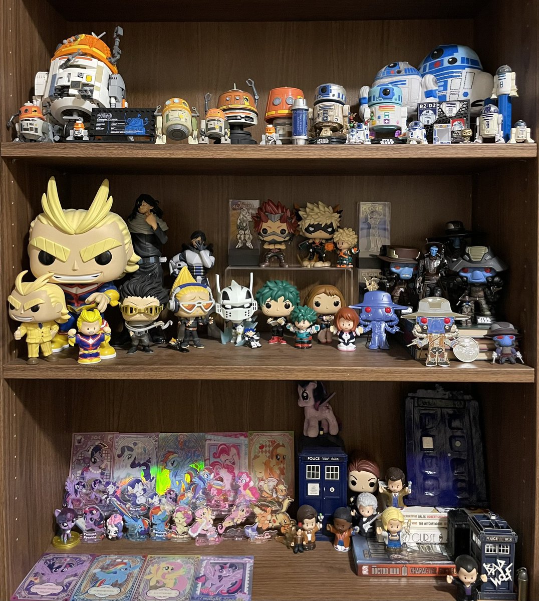 ochacosyndulla's tweet photo. Its taken be forever BUT the first 3 shelves are done!! Next is rebels shelves 😅 https://t.co/ftSGY0QJkB