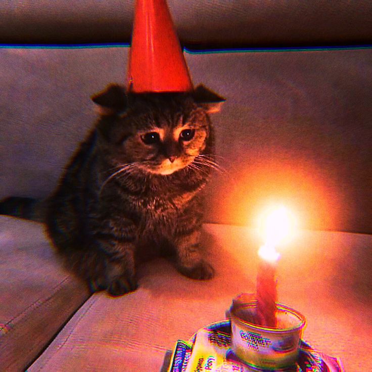 Ya no soy una joven promesa, solo un fallo consolidado.