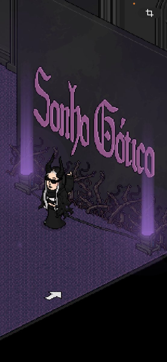 Estava tudo mundo lindo, como sempre arrasaram nos eventos <a href="/riohabblet/">RIO Habblet</a>