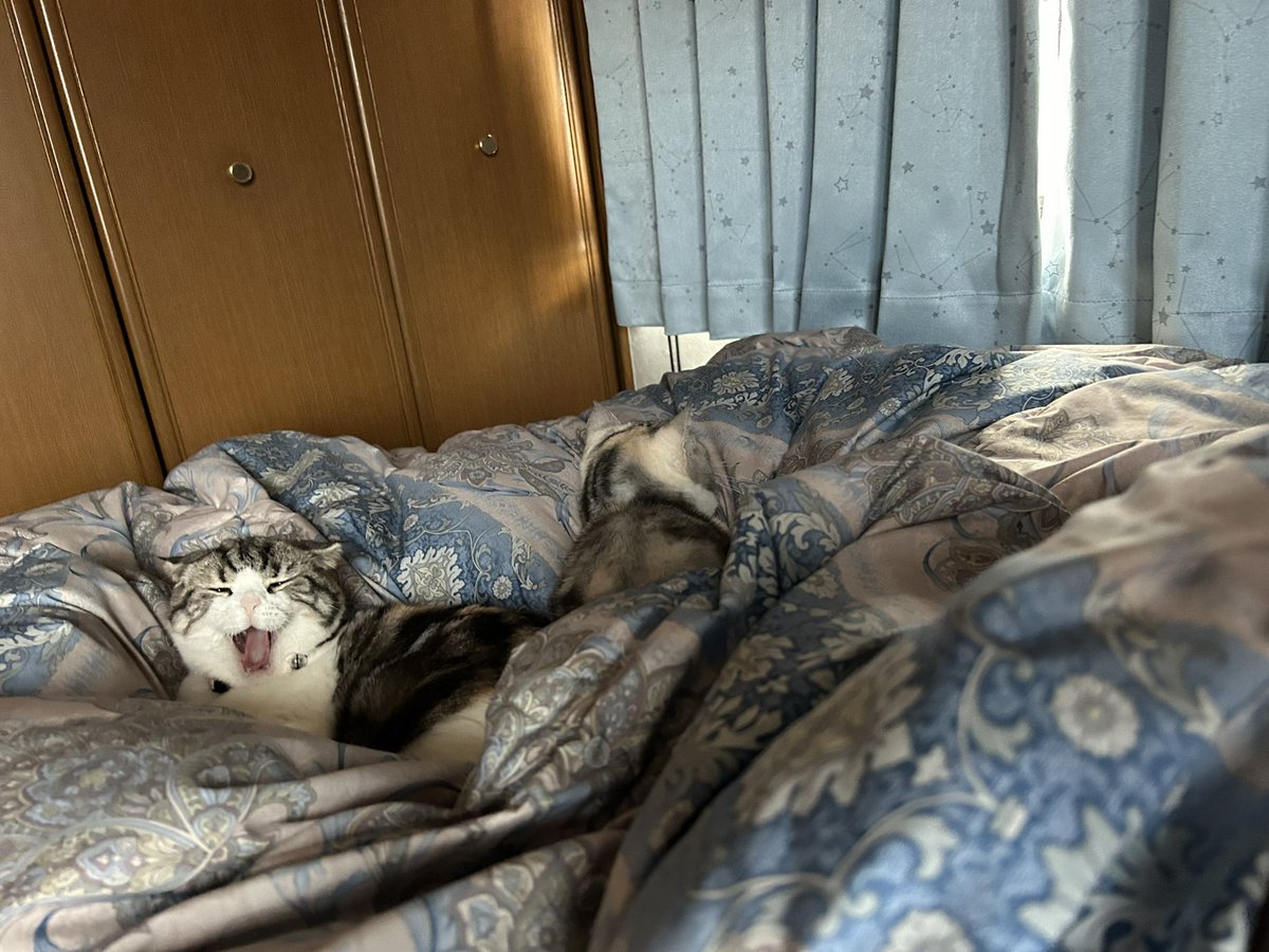 あっこ様リクエスト品 🍓あっこちゃんねる🍓 on X