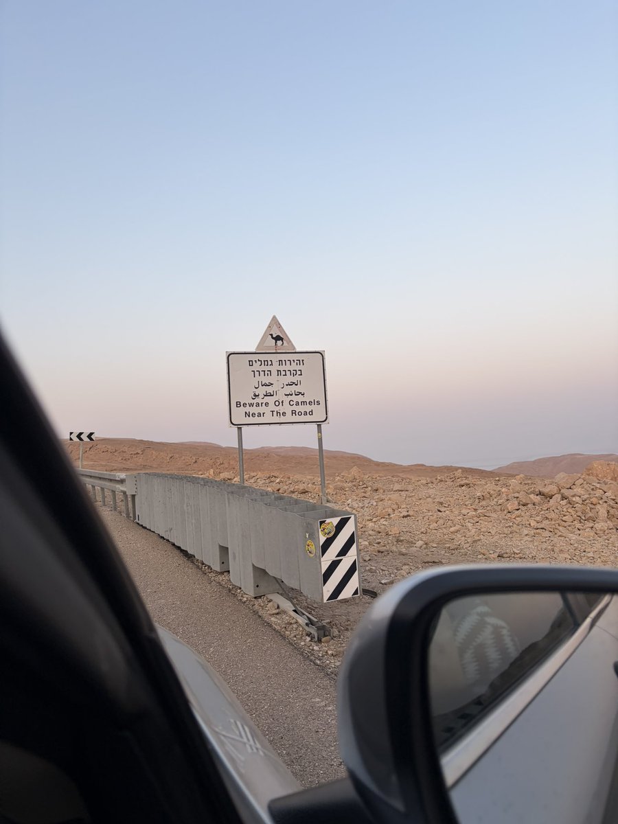 Noam Efergan tweet media