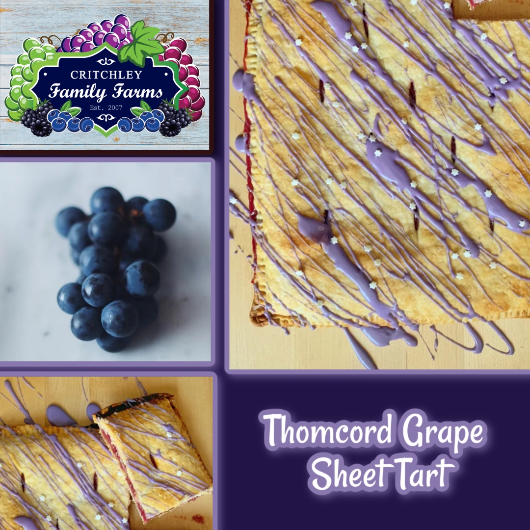 🍇✨ Sweet, flaky, and full of flavor — our Thomcord Grape Sheet Tart is a must-try! Made with juicy #CaliforniaGrapes from #CritchleyFamilyFarms, it’s the perfect blend of buttery crust and fruity goodness.

👉 Get the recipe: critchleyfamilyfarms.com/recipes/thomco…