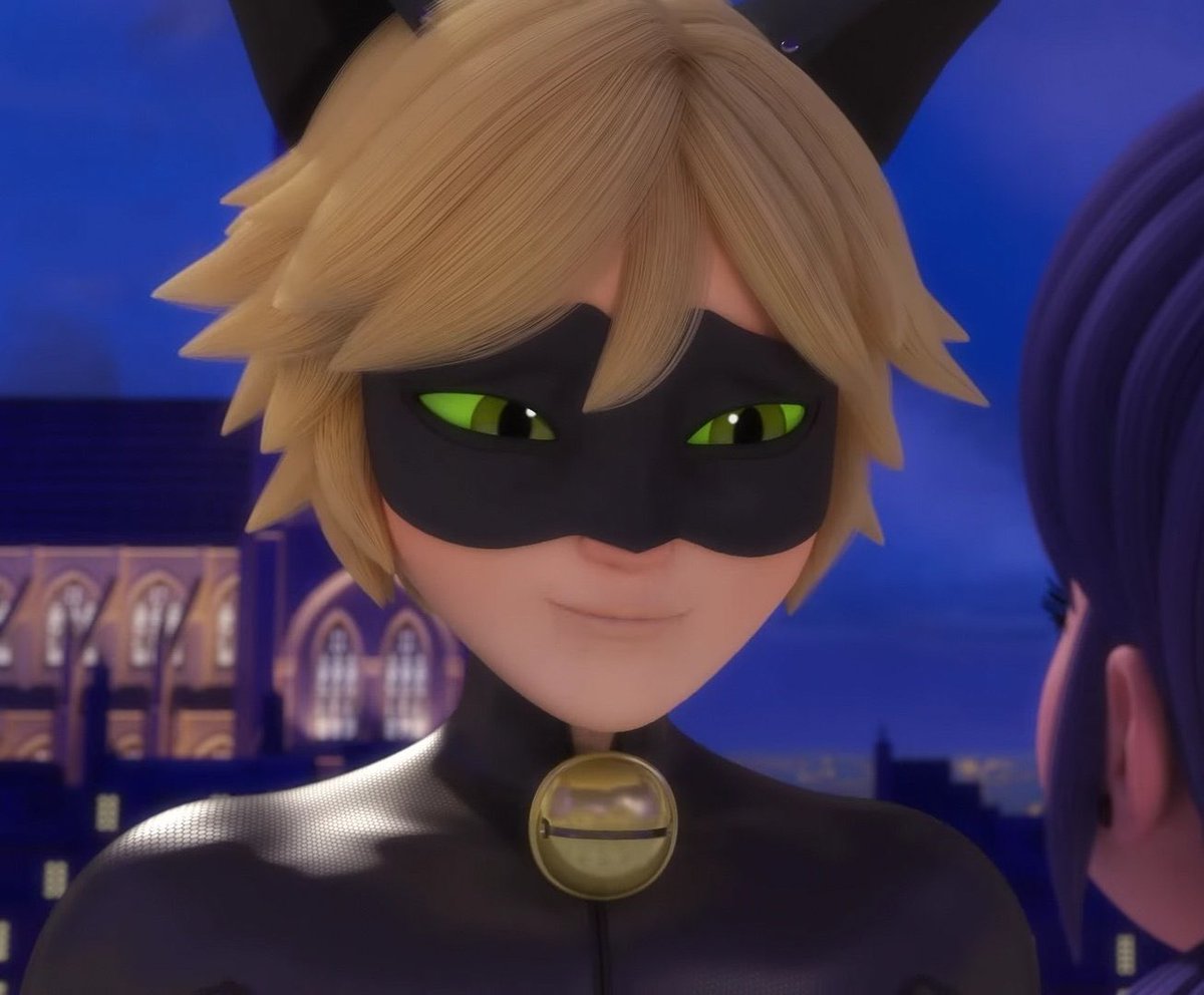 daily chat noir (@chatnoirdaily) on Twitter photo 