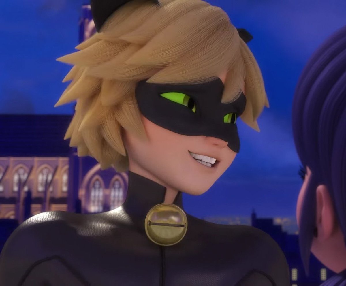 daily chat noir tweet media