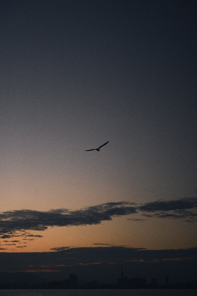 shintake_photo's tweet photo. Stillness https://t.co/j8HNvZXs3x