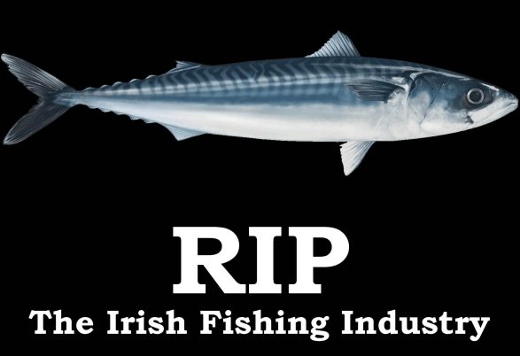 Marine Times newspaper November edition view (out now in print and online) of how the fishing industry is treated by  Government.