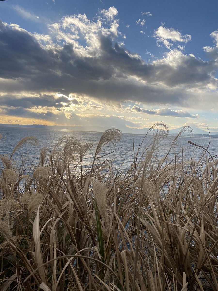 m_u_n_i__n's tweet image. また鎌倉､江ノ島行きたいなー
沈んでいく夕日がほんと綺麗だった😮‍💨
