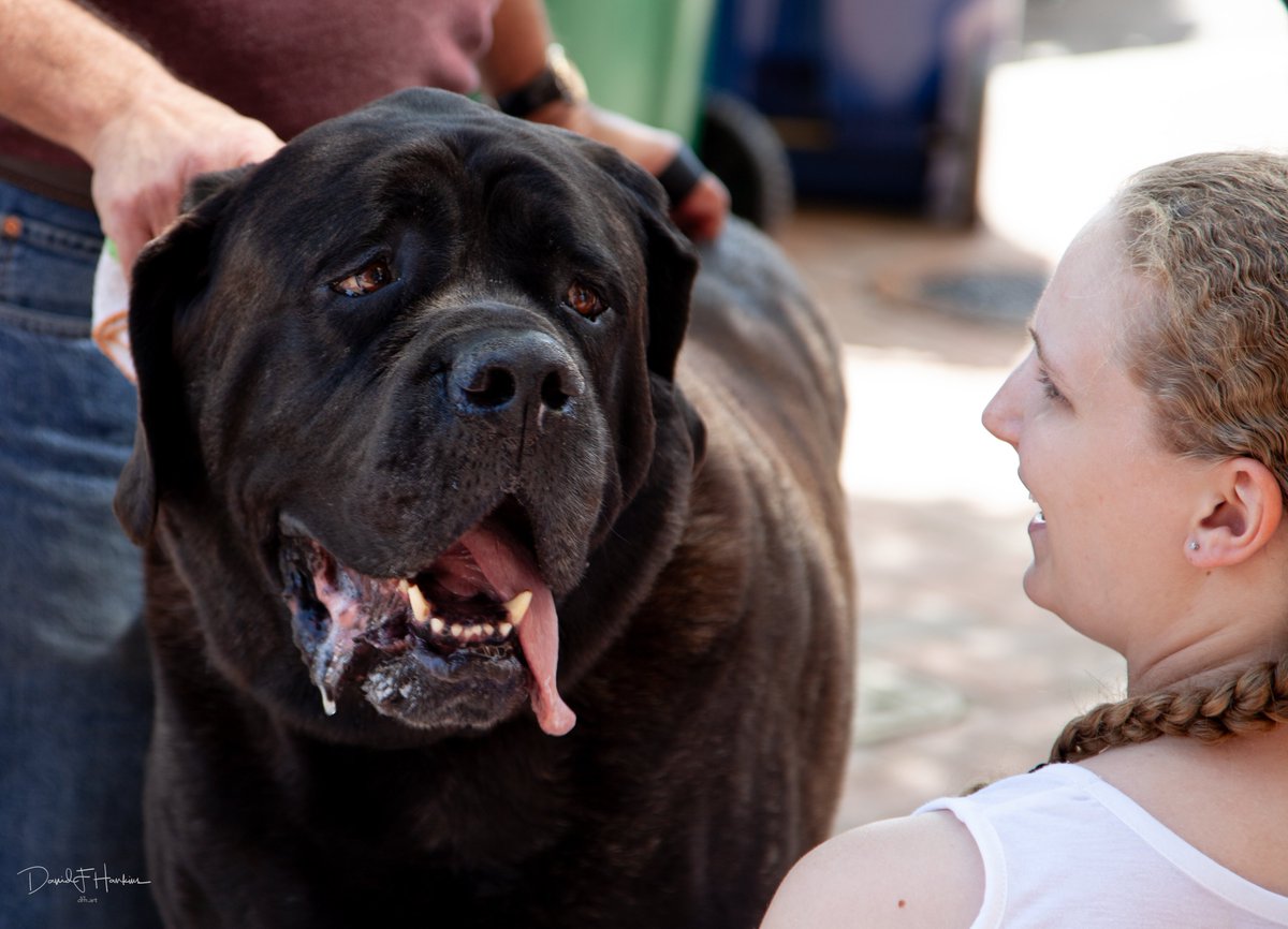 dave (@dfh_art) on Twitter photo 