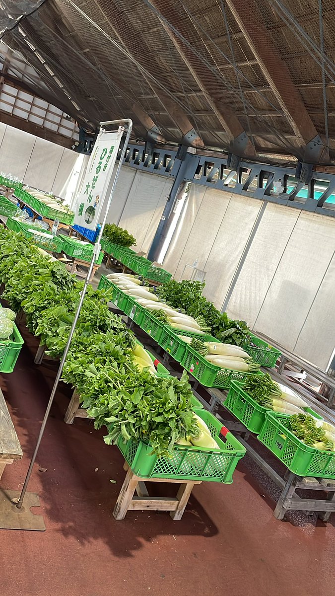 セロリ - Search / X