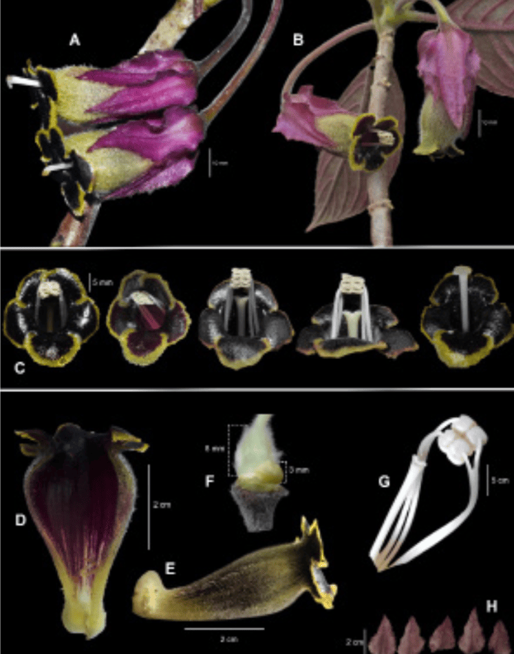 Actualidad Ambiental tweet media