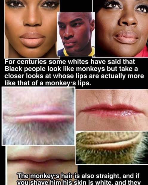 Shortie_B_'s tweet photo. @TreyRexAura @Alove511tn @BrawlQueens Let’s not hate on yourself now trey https://t.co/WQq6S5B6TL