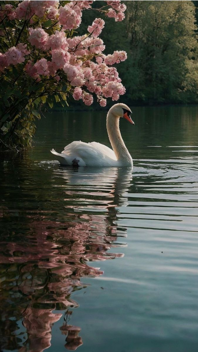 ᅠ ᅠ (@greendreaams) on Twitter photo 