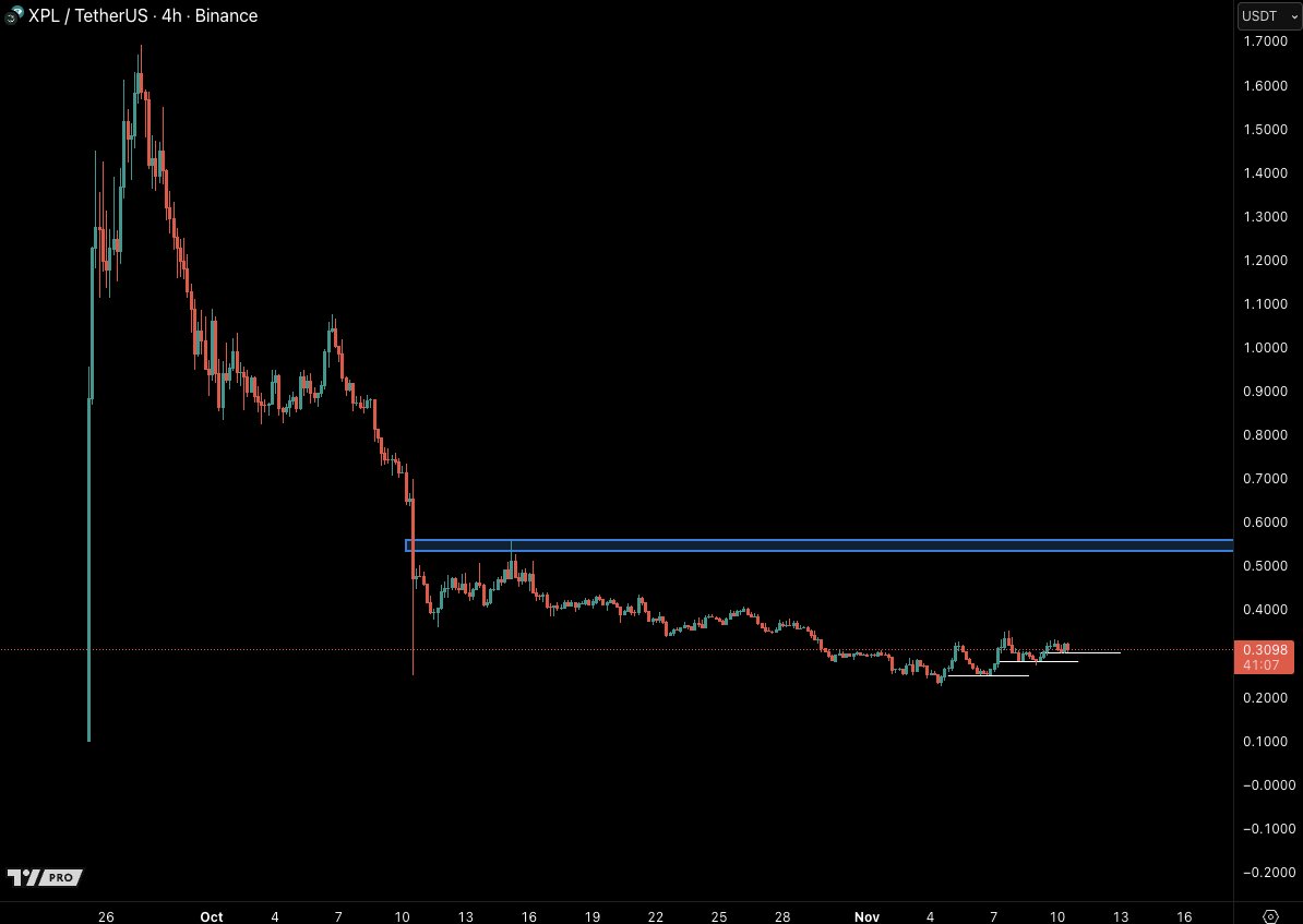 Castillo Trading tweet media