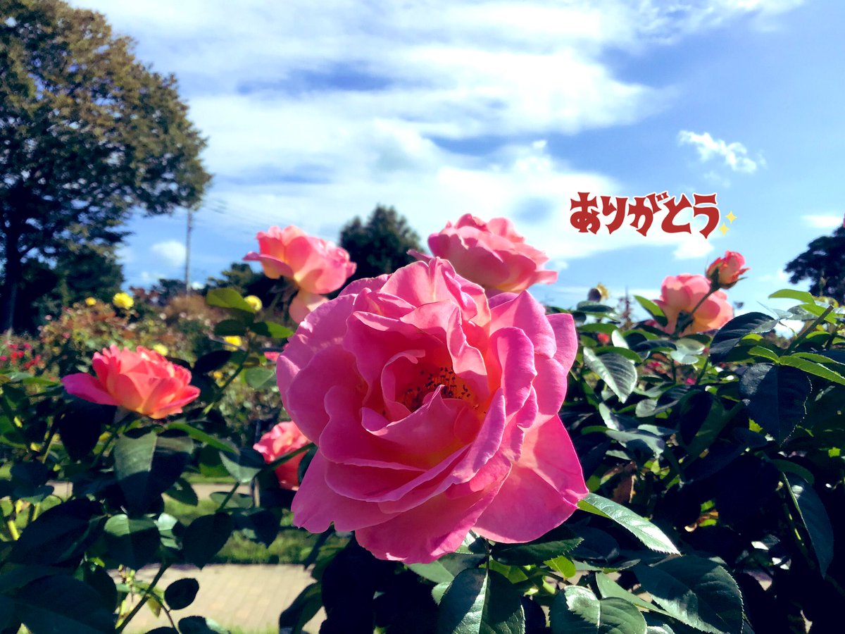 かめきち (@E9Ep7HchhwchZot) / Posts / X