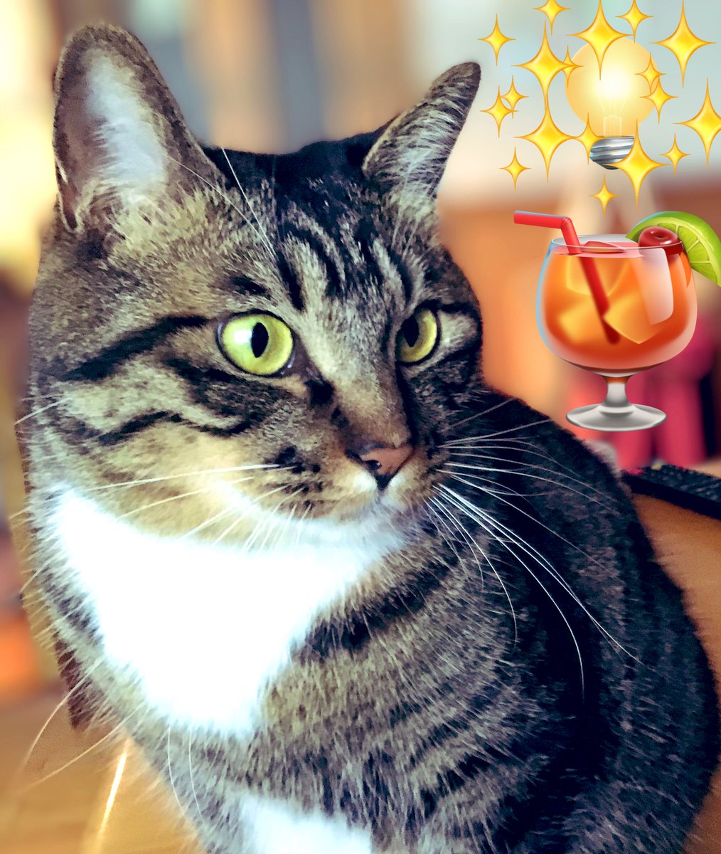 かめきち (@E9Ep7HchhwchZot) / Posts / X