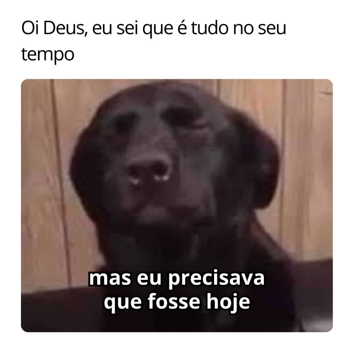 Nem só de Estudos e Viagens vive Sagitário, esse signo também rege o contato com a Espiritualidade e a sabedoria das nossas Filosofias. Se você quiser falar com Deus, vc que se vire 😂

"Deus só for da Tua vontade - mas que a Tua vontade seja a minha"