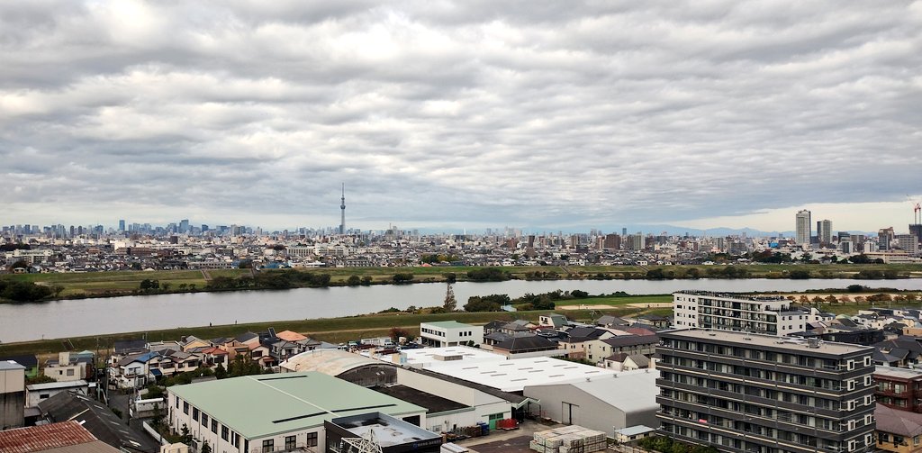 おはようございます。今日は曇りですね。